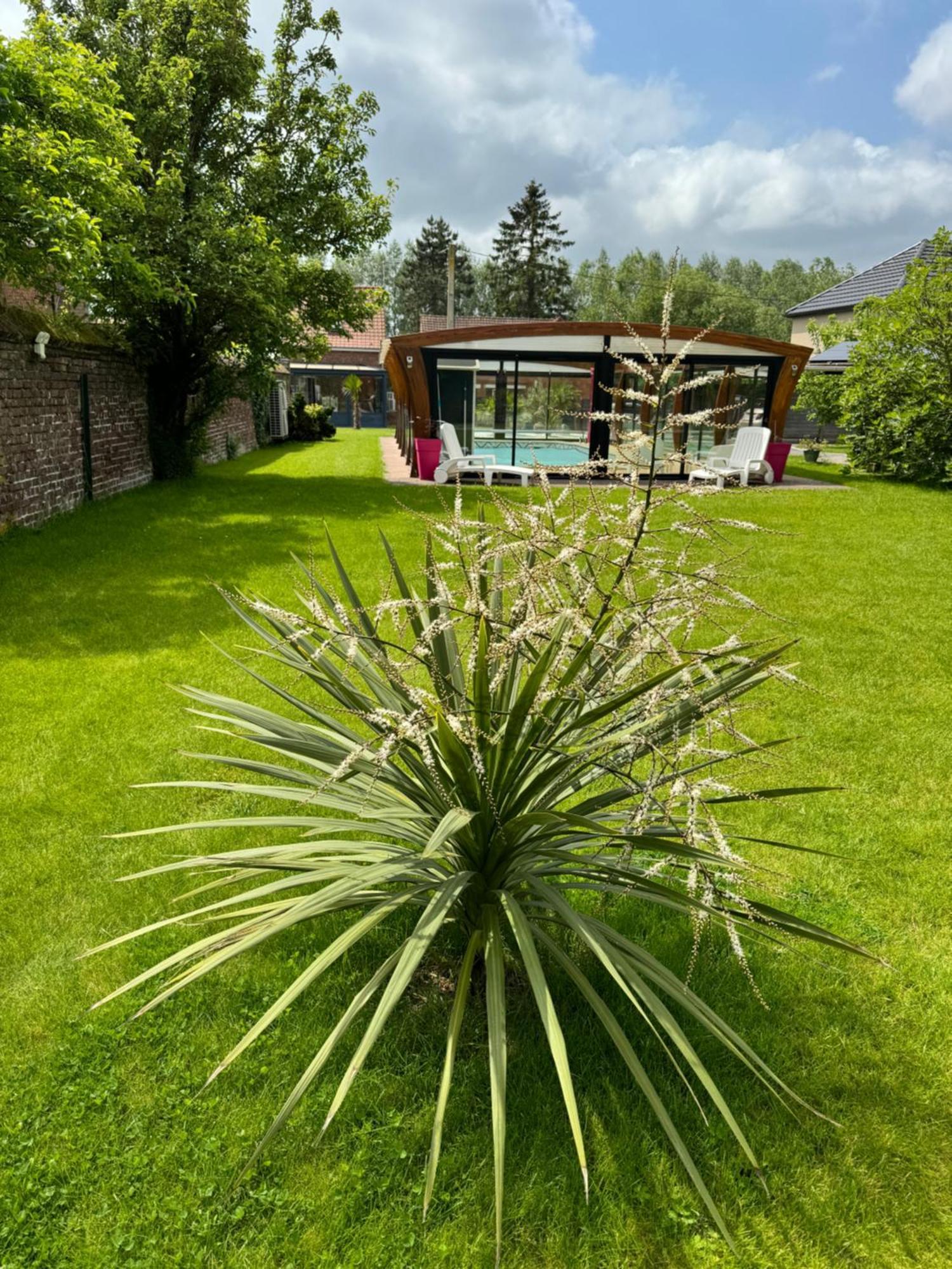 Gite Avec Piscine Lestrem Bagian luar foto